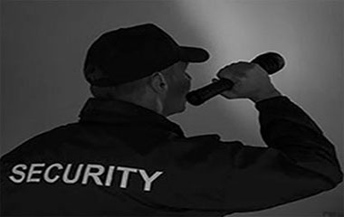 Sicherheitsdienst untersucht mit Taschenlampe